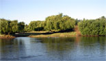 Río Chol Chol