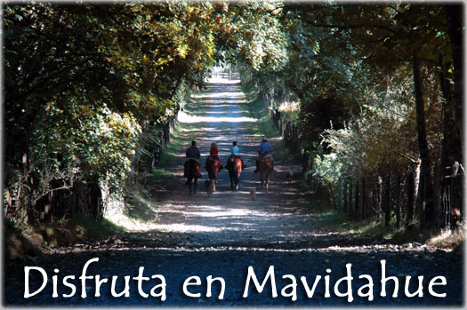Turismo Rural Mavidahue